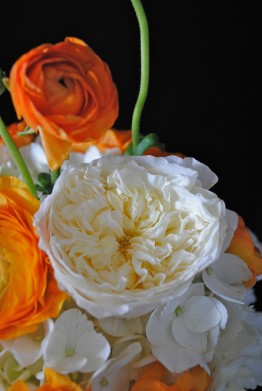mason jar centerpiece, white garden rose, orange ranunculus